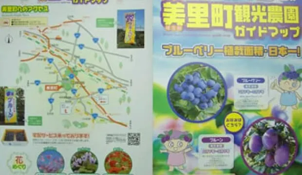 美里町の特産品であるブルーベリー農場